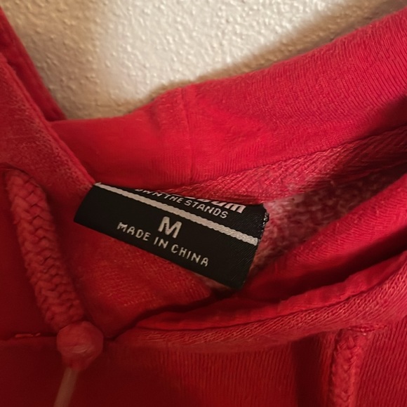 Wisconsin Badgers - Picture 2 of 3